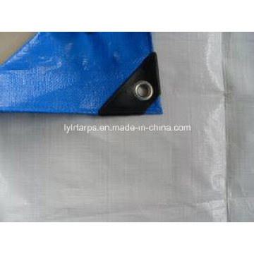 China PE Tarpaulin Sheet, Good Quality PE Tarp with Competitive Price